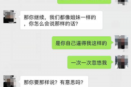 大新大新的要账公司在催收过程中的策略和技巧有哪些？