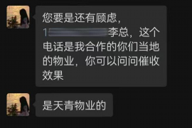 大新专业讨债公司有哪些核心服务？